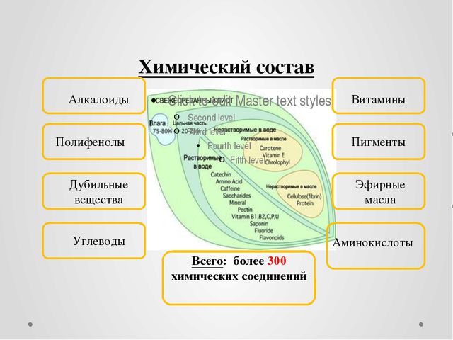 Проект химический состав чая