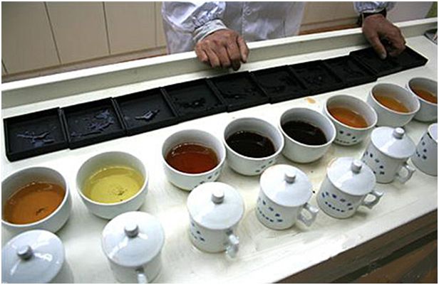 Дегустатор чая профессия. Титестер фото. Тестинг чая. Необычные проф. Чайный дегустатор 8.