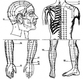 Акупунктурные точки фото